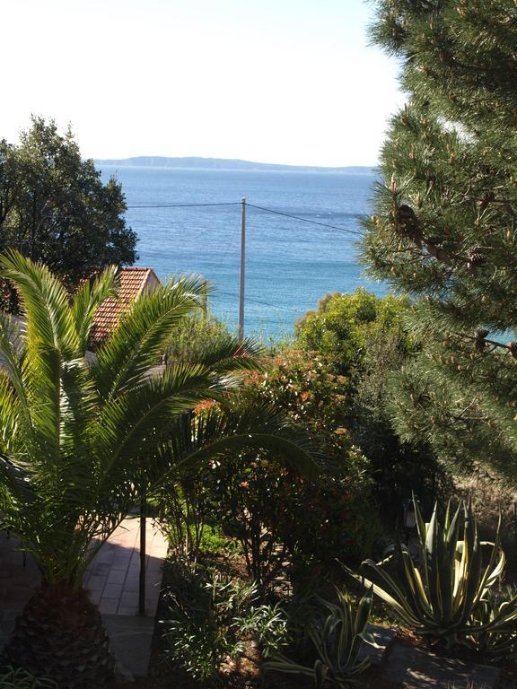 Les Lauriers Roses Aparthotel Le Le Rayol-Canadel-sur-Mer Kültér fotó